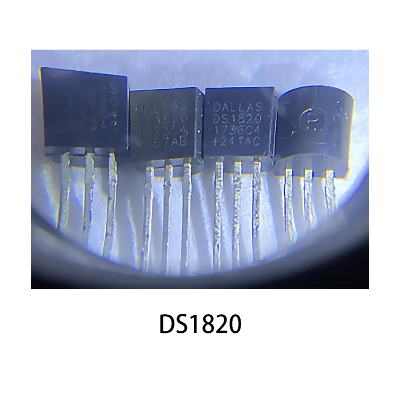 DS1820